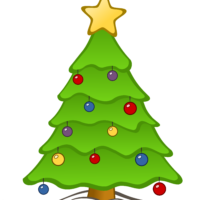 Freshly Cut Christmas Trees Are In Stock Now
