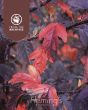 Malus 'JFS-KW5' - Royal Raindrops - Image 3
