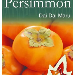 Persimmon - Dai Dai Maru