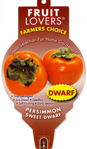 Persimmon - Ichikikei Jiro