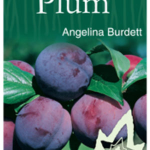 Plum – Angelina Burdett