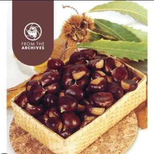 Chestnut - Flemings Special
