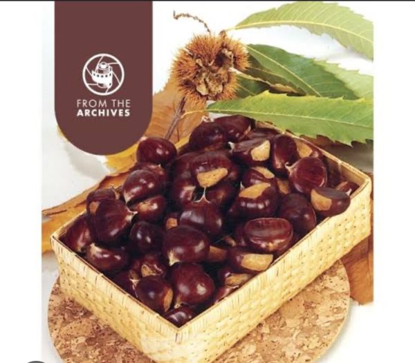 Chestnut - Flemings Special