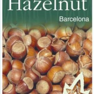 Hazelnut - Barcelona