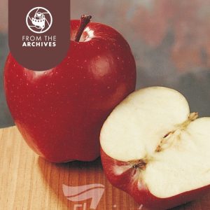 Apple - Red Delicious