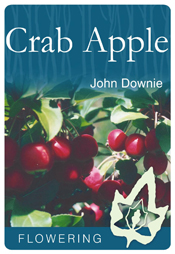 john downie crab apple john downie crab apple