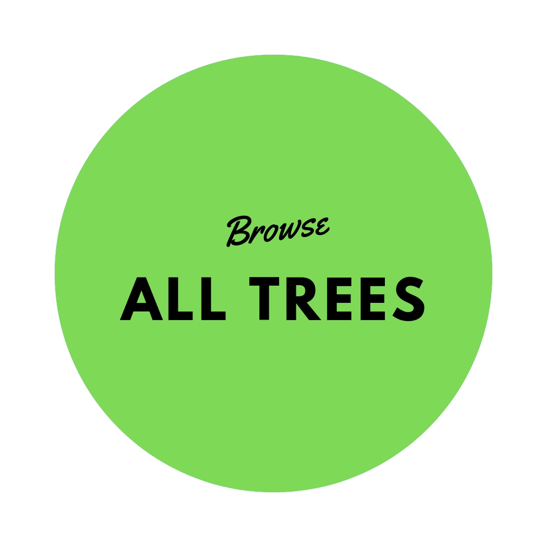 Buy trees online View our range Shop Online Blerick Tree Farm