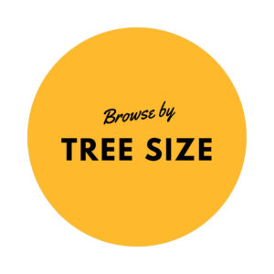 Browse by Tree Size