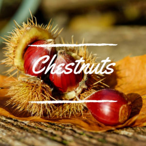 Chestnut