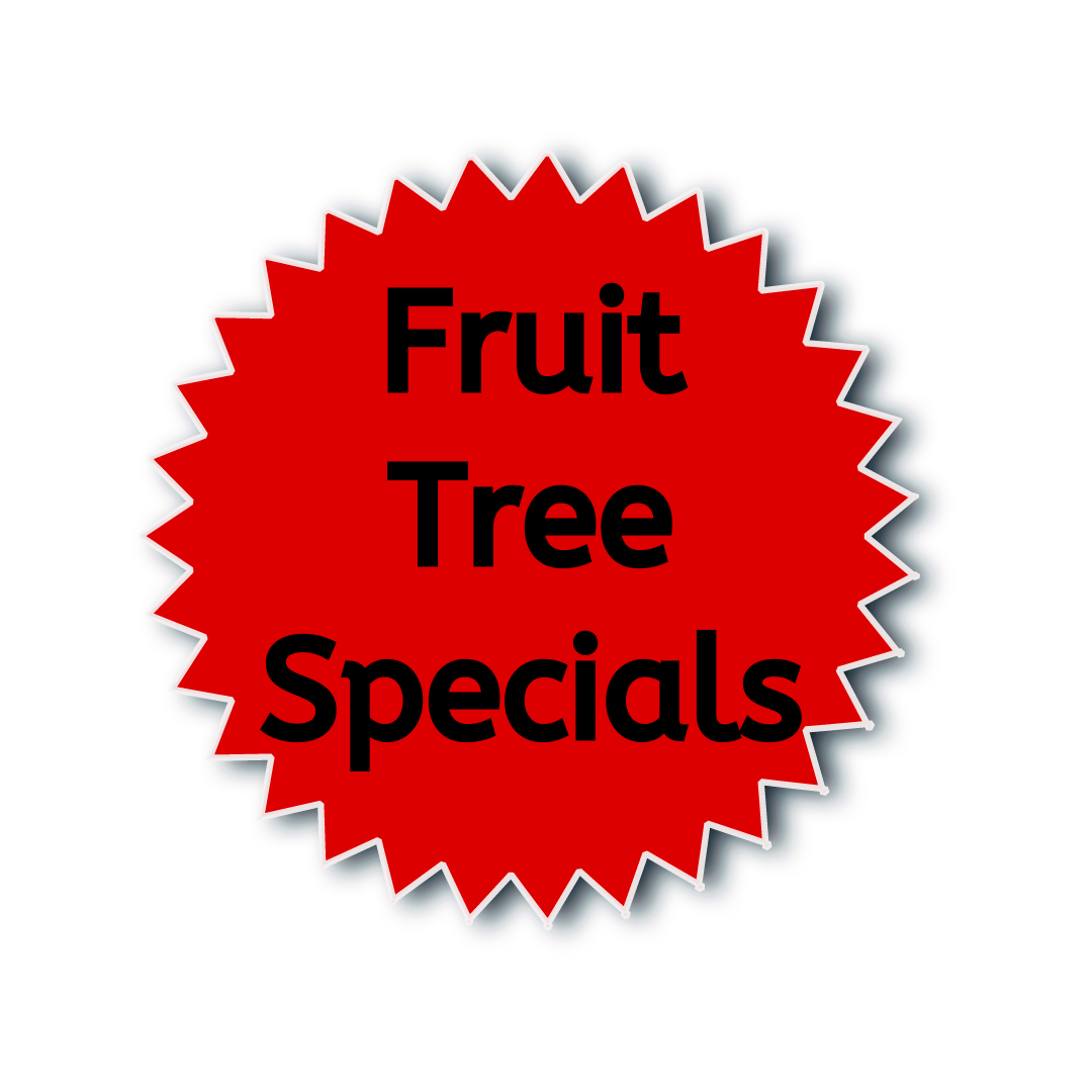Buy trees online View our range Shop Online Blerick Tree Farm