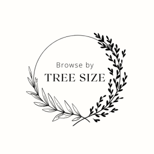 Browse by Tree Size