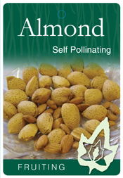 Almond – Self-pollinating
