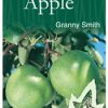Apple– Granny Smith