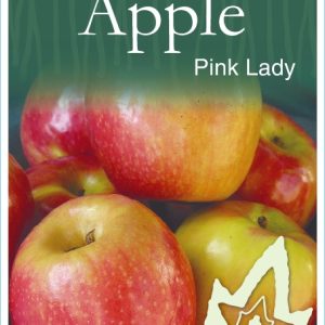 Apple - Pink Lady