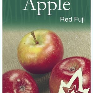 Apple - Red Fuji