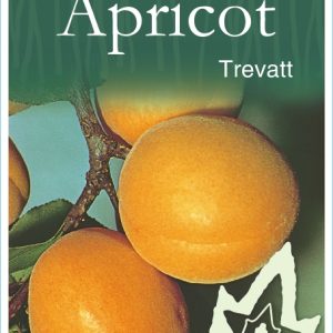 Apricot – Trevatt