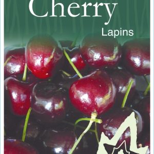 Cherry – Lapins