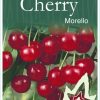Cherry – Morello