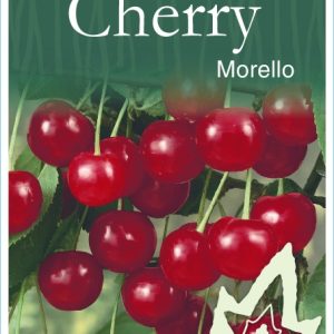 Cherry – Morello