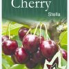 Cherry – Stella
