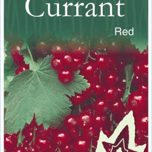 Currant – Red