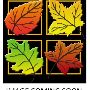Quercus palustris - Early Fall