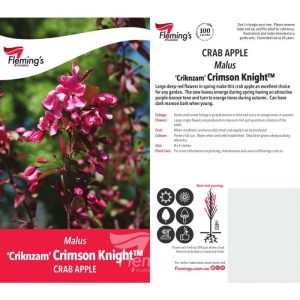 Malus 'Criknzam' Crimson Knight™