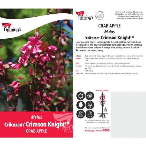 Malus 'Criknzam' Crimson Knight™