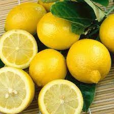 Lemon - Lisbon