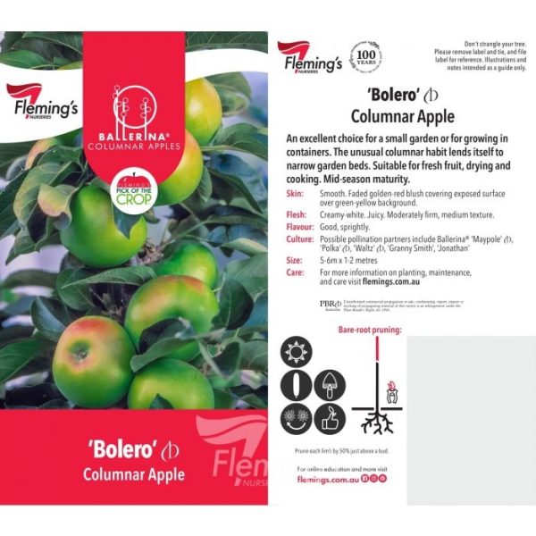 Apple - Bolero