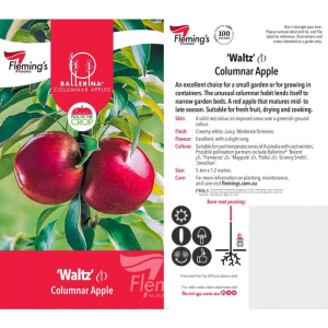 Apple - Waltz
