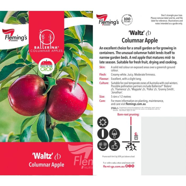 Apple - Waltz