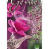 Magnolia - Genie - Image 2