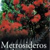 Metrosideros excelsa - Pohutukawa - Image 3