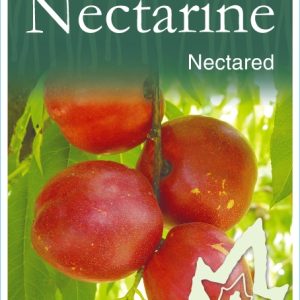 Nectarine – Nectared