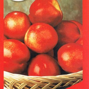 Nectarine - May Grand