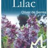 Syringa vulgaris 'Oliver de Serres' - Blue Flowering Lilac