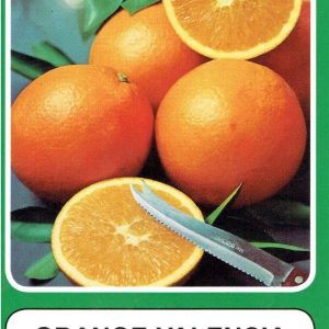 Orange - Valencia