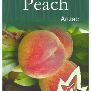 Peach – Anzac