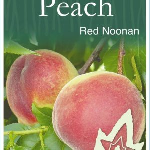Peach – Red Noonan