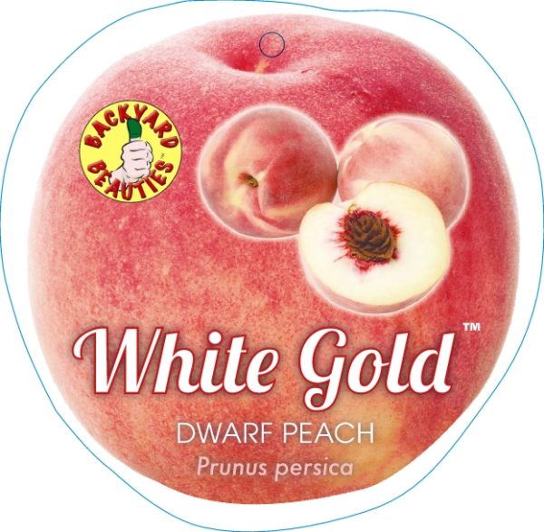 Peach – White Gold