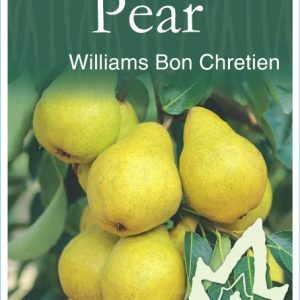 Pear – Williams Bon Chretien