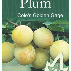 Plum – Cole's Golden Gage