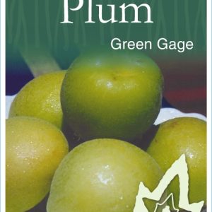 Plum - Green Gage