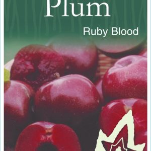 Plum – Ruby Blood