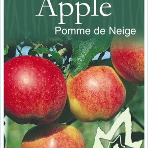 Apple - Pomme de Neige