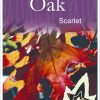Quercus coccinea - Scarlet Oak - Image 2
