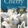 Prunus (Cherry) 'Tai Haku' - Image 2