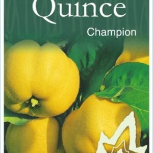 Quince - Champion