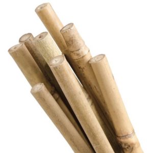 Bamboo Stake